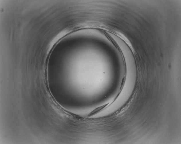 X0000063441146200601201148