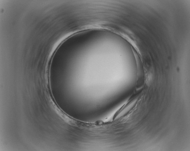 X0000063441148200601201148