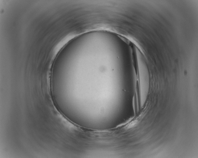 X0000063441151200601201148