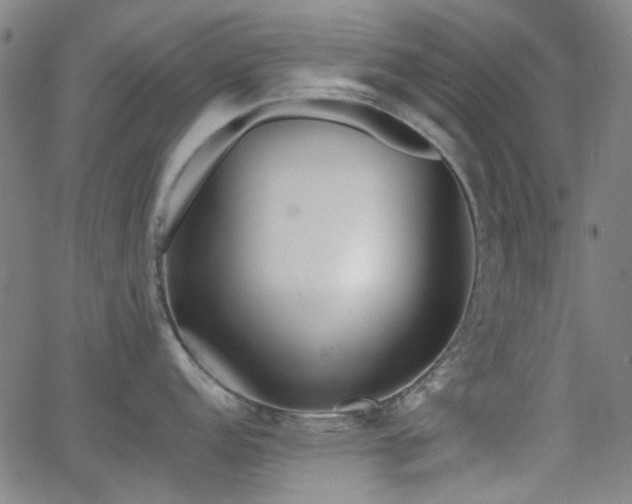 X0000063441152200601201148