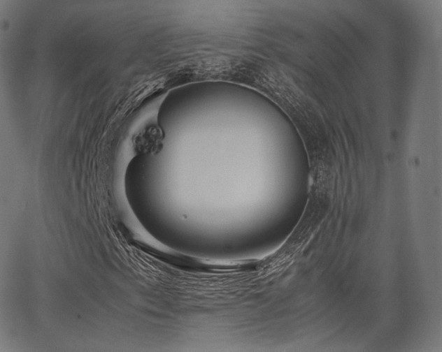 X0000063441153200601201147