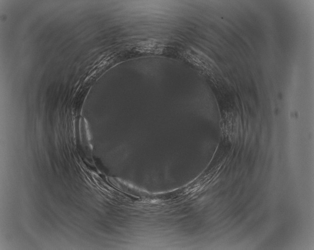 X0000063441154200601201147