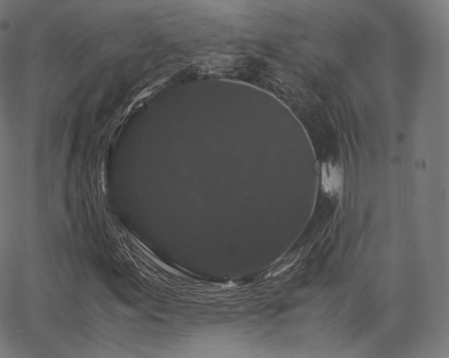 X0000063441155200601201147