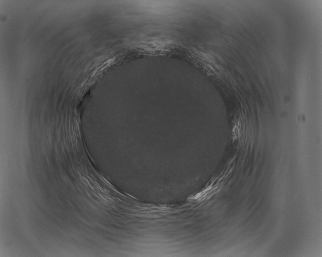 X0000063441156200601201147