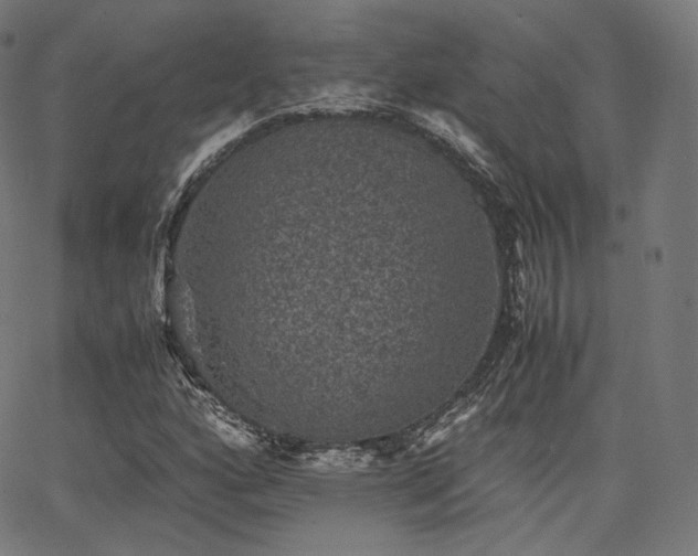 X0000063441160200601201147