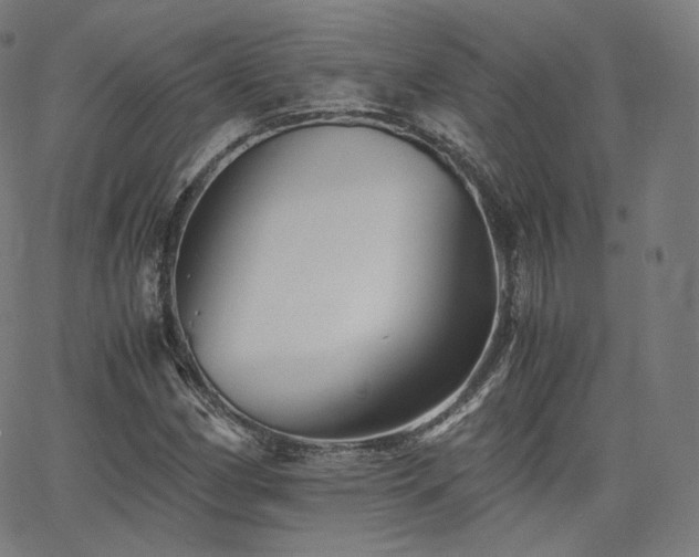X0000063441162200601201147