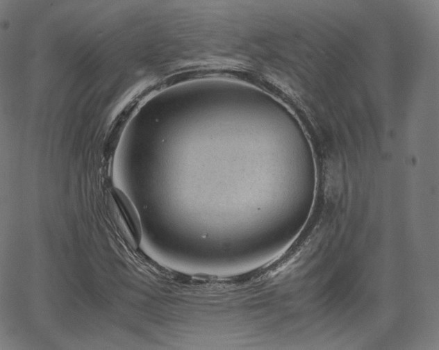 X0000063441163200601201147