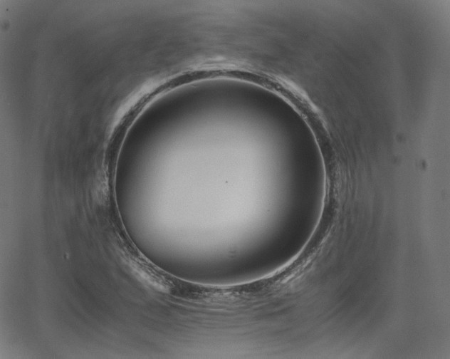 X0000063441167200601201147