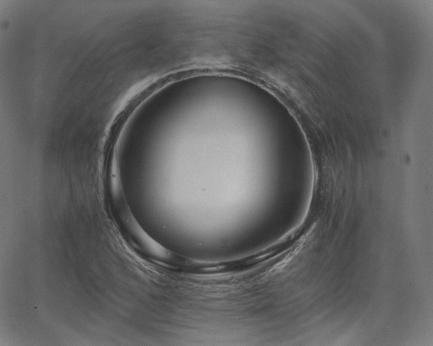 X0000063441168200601201147