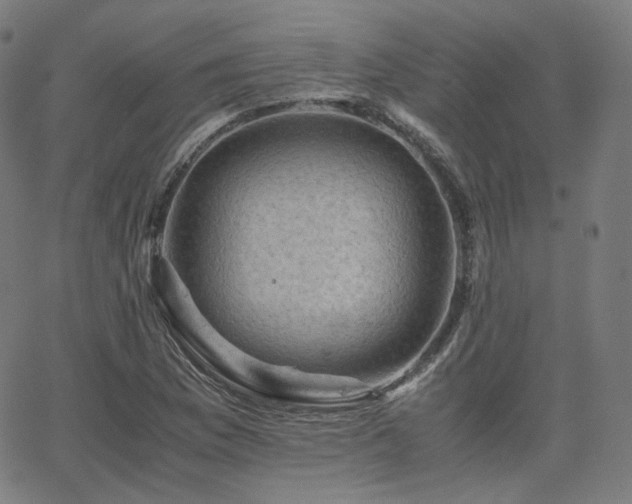 X0000063441169200601201147