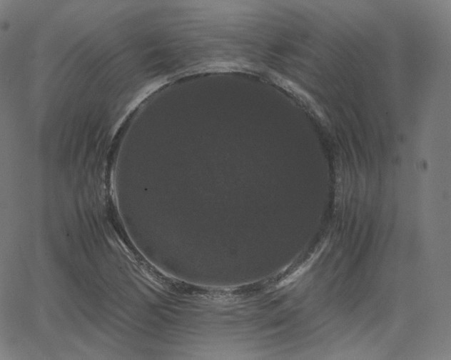 X0000063441170200601201147