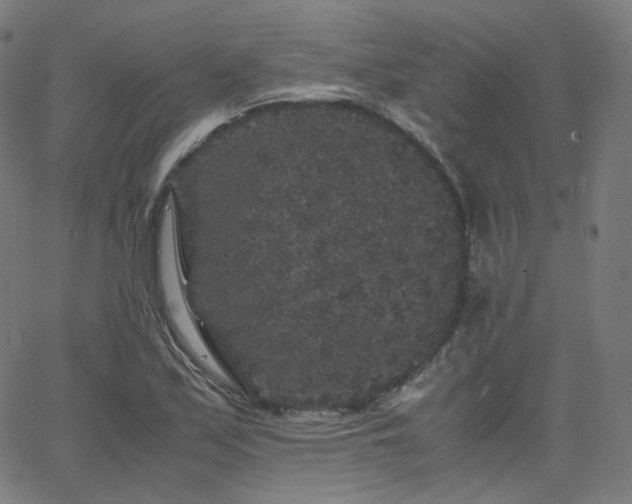 X0000063441171200601201147