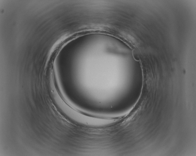 X0000063441172200601201147