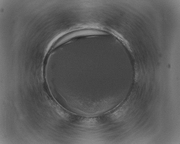 X0000063441174200601201147