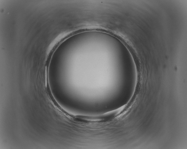 X0000063441175200601201147