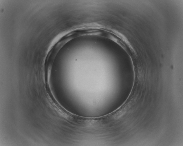X0000063441176200601201147