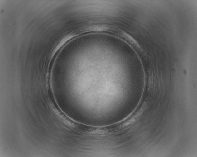 X0000063441178200601201147