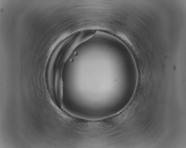 X0000063441181200601201147