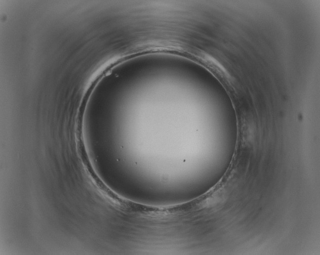 X0000063441182200601201147