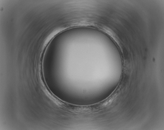 X0000063441187200601201147