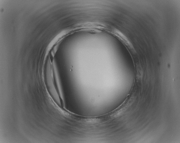 X0000063441188200601201147