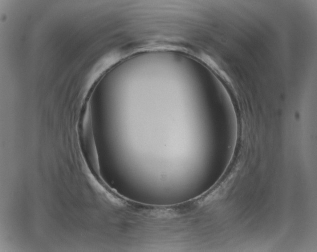 X0000063441189200601201147