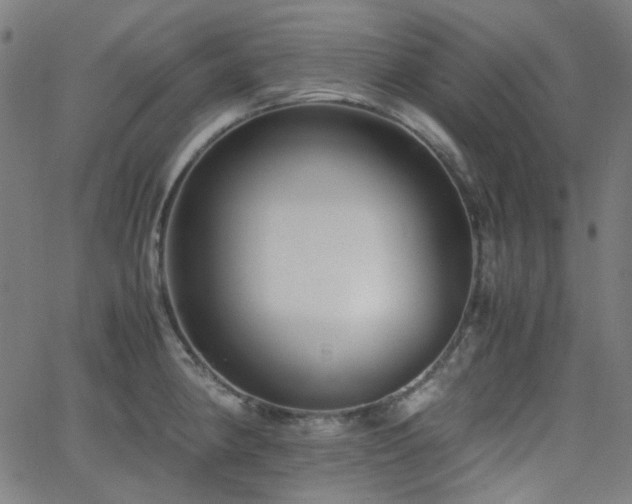 X0000063441190200601201147