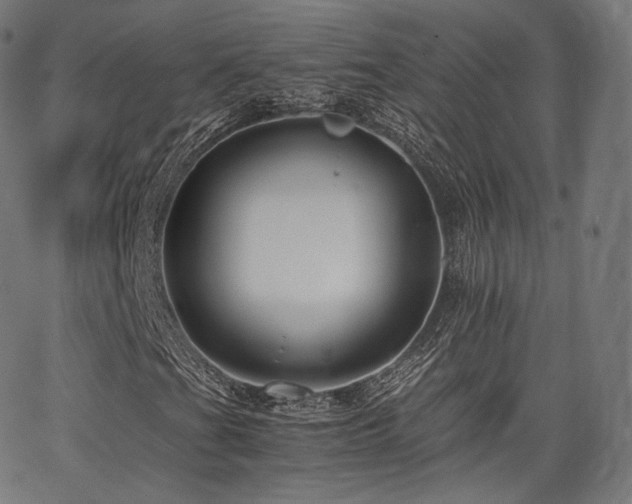 X0000063441201200601201146