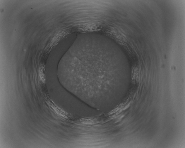 X0000063441202200601201146