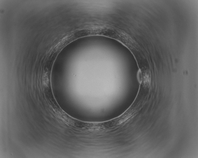X0000063441204200601201146
