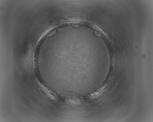 X0000063441208200601201146