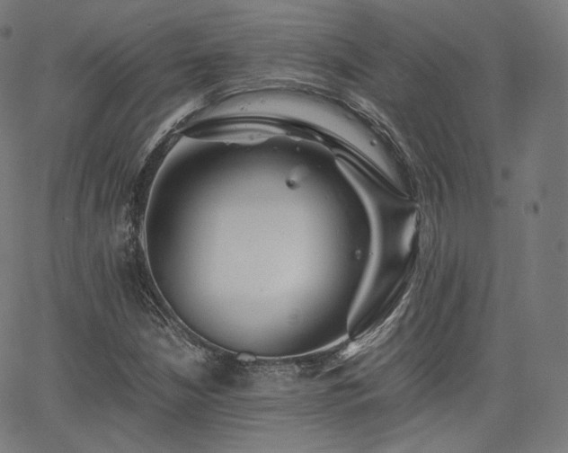 X0000063441210200601201146