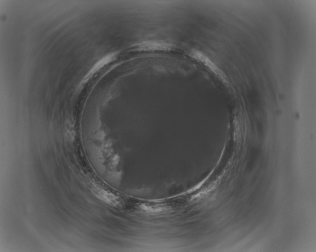 X0000063441213200601201146