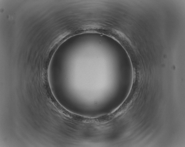 X0000063441217200601201146