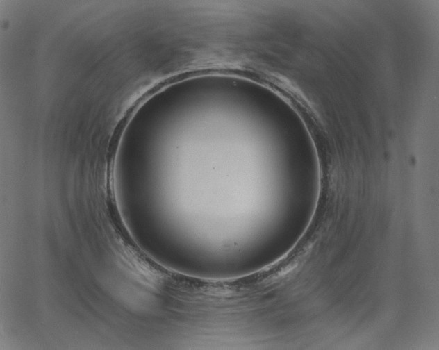 X0000063441220200601201146
