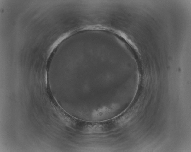 X0000063441221200601201146