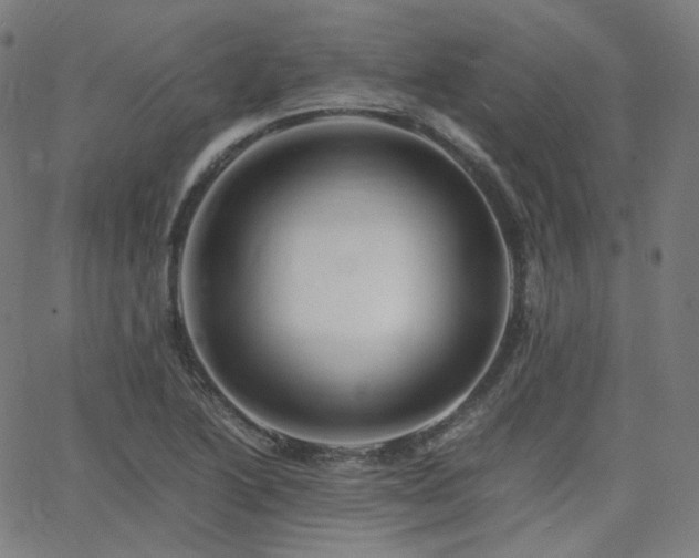 X0000063441222200601201146