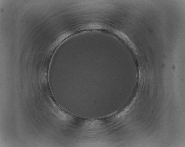 X0000063441225200601201146