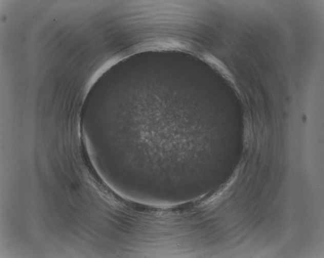X0000063441226200601201146