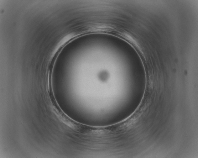X0000063441227200601201146