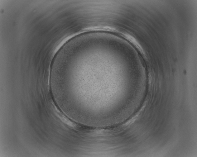 X0000063441228200601201146