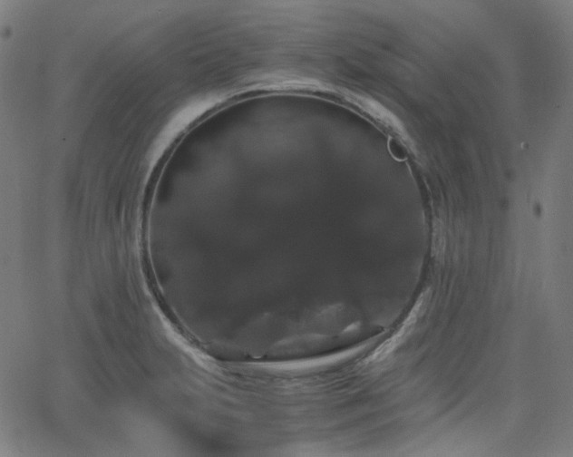 X0000063441231200601201146