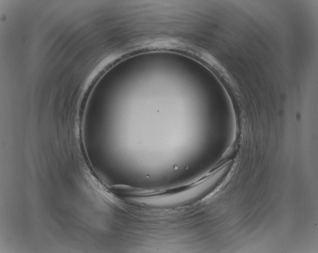 X0000063441232200601201146
