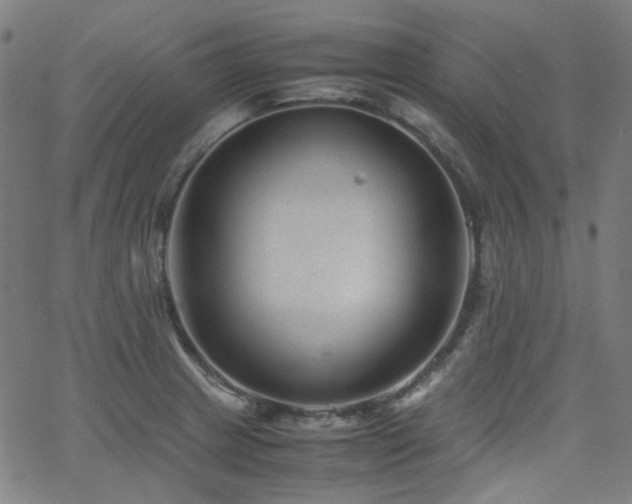 X0000063441233200601201146