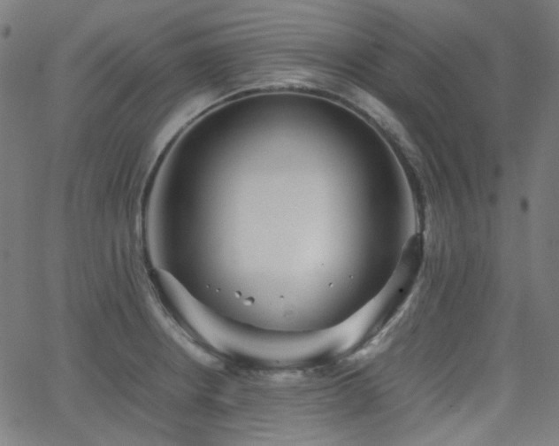 X0000063441234200601201146