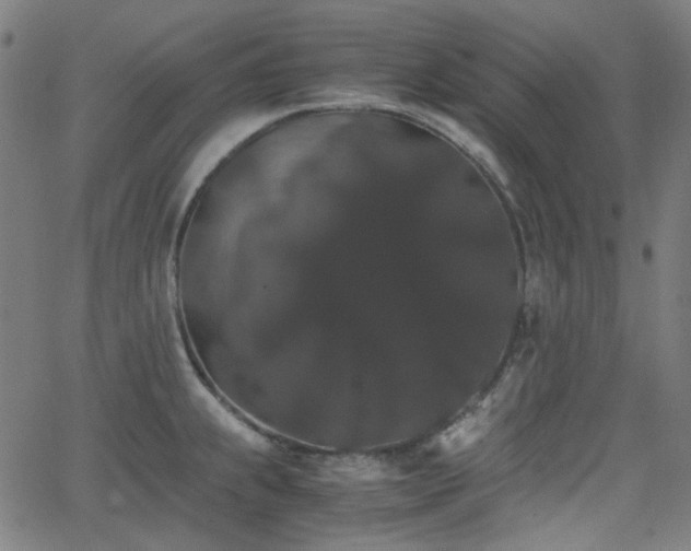 X0000063441239200601201146