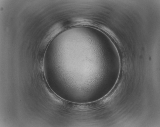 X0000063441241200601201147