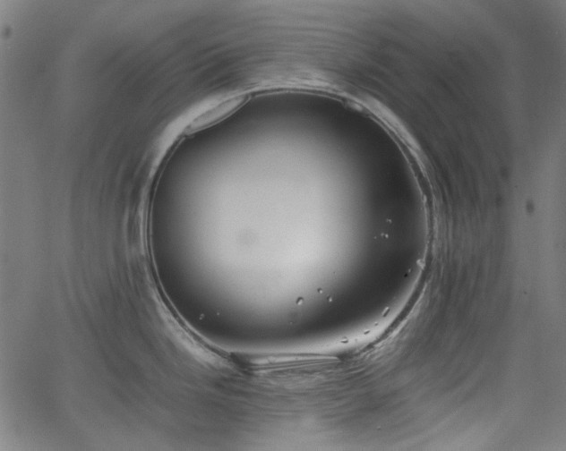 X0000063441246200601201147