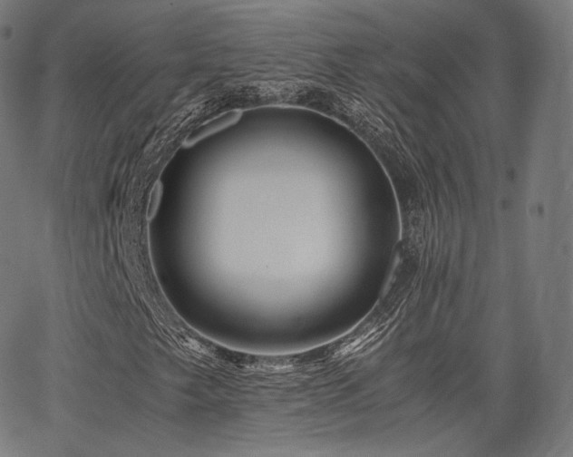 X0000063441249200601201146