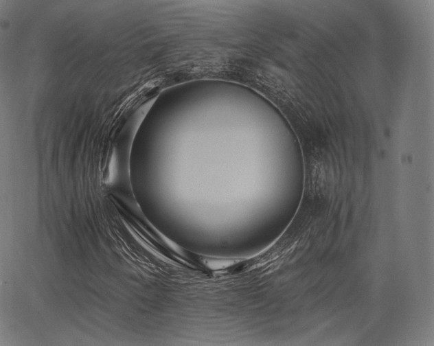 X0000063441250200601201146